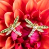 Aida Bergsen Dragonfly Studs