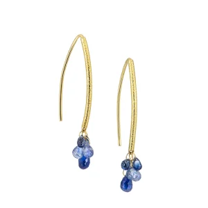 Barbara Heinrich Navette Sapphire Briolette Earrings