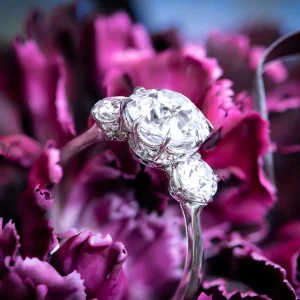 Erika Winters Margot Three Stone Moissanite Ring