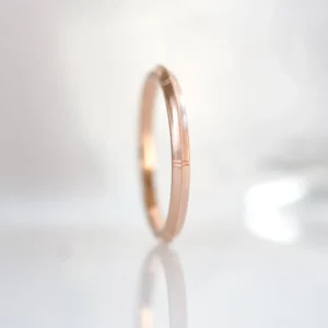 Erika Winters Rose Band