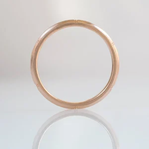 Erika Winters Rose Band