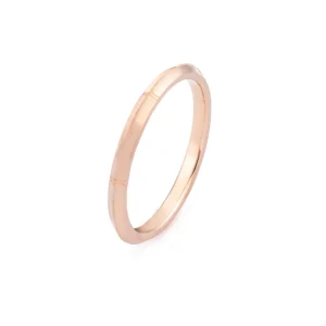 Erika Winters Rose Band