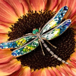 Lord Dragonfly Convertible Brooch Pendant
